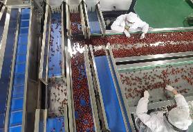 新疆叶河源果业有限公司租赁位于图木舒克市清远街101号厂房及机器设备（资产包一）(国资监测编号GR2026XJ1001784)