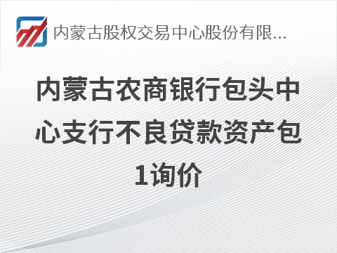 内蒙古农商银行包头中心支行不良贷款资产包1询价