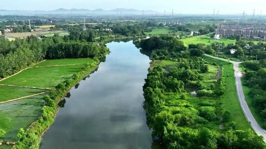 南陵县漳河幸福闸上游水域约1832.97亩水面15年期经营权转让公告(国资监测编号GR2026AH2002699)