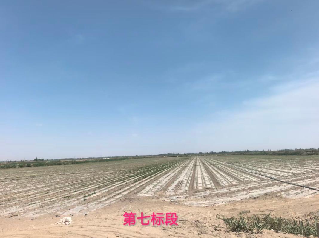 库车新盛农牧有限责任公司租赁位于阿克苏地区库车市齐满镇甬库团结村东南方向七公里处42648.9㎡（合63.97335亩）轧花厂场地