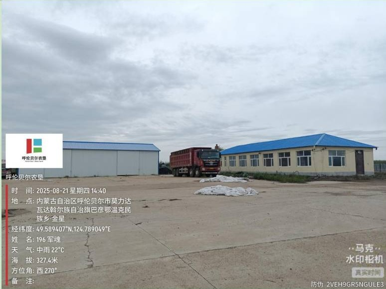 巴彦农牧场五队烘干塔及附属资产整体出租（租金底价：90494.81元，租期10个月）(国资监测编号GR2026NM1004412)