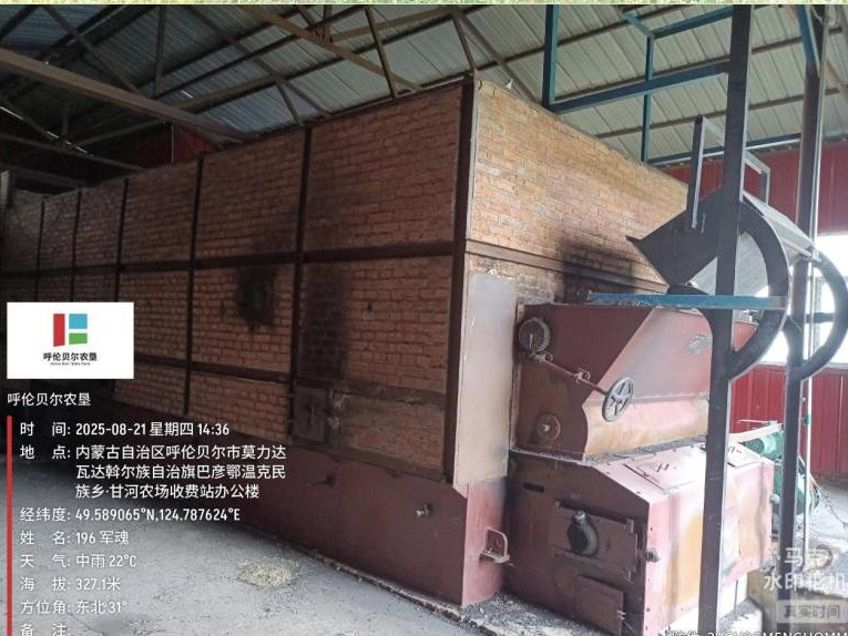 巴彦农牧场五队烘干塔及附属资产整体出租（租金底价：90494.81元，租期10个月）(国资监测编号GR2026NM1004412)