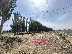 库车新盛农牧有限责任公司租赁位于阿克苏地区库车市齐满镇甬库团结村东南方向七公里处42648.9㎡（合63.97335亩）轧花厂场地
