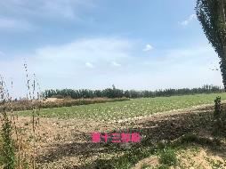 库车新盛农牧有限责任公司租赁位于阿克苏地区库车市齐满镇甬库团结村东南方向七公里处42648.9㎡（合63.97335亩）轧花厂场地