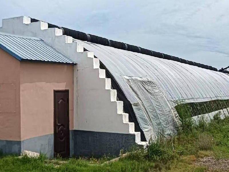 那吉屯农牧场第三连队6处暖棚第二区（棚号：205-207、211）第三区（棚号：312-313）整体出租（租金底价：480000.00元/年，租期三年）(国资监测编号GR2026NM1004347)