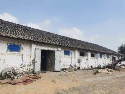 无为市严桥镇严桥社区严桥粮油分站及泉塘镇郭巨山村务里粮油分站出租公告