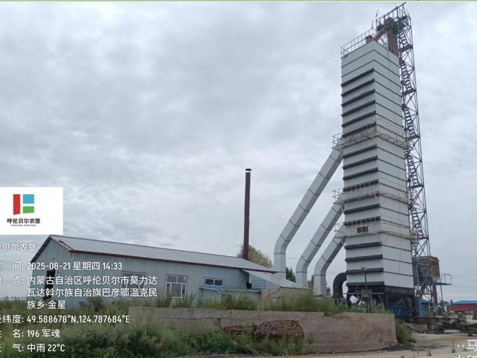 巴彦农牧场五队烘干塔及附属资产整体出租（租金底价：90494.81元，租期10个月）(国资监测编号GR2026NM1004412)