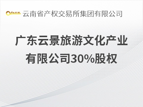 广东云景旅游文化产业有限公司30%股权(国资监测编号G32026YN1000050)