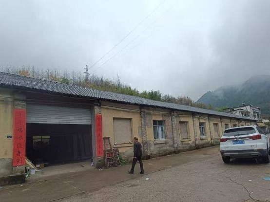 开化县芹阳街道桃溪村原横坑茶厂及根博路、桃溪路房产一批公开挂牌招租