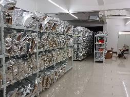 一批石斛加工产品转让公告(国资监测编号GR2026AH2002822)