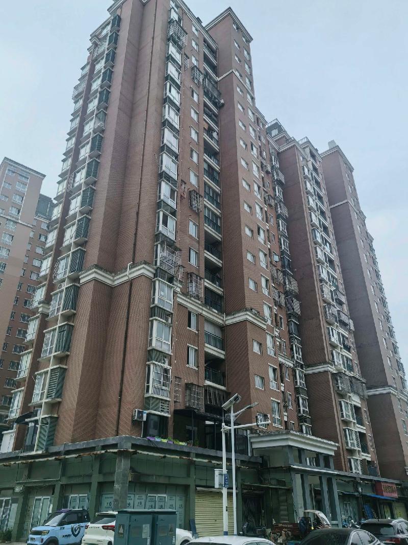 安庆市迎江区华中东路水岸花都小区A-4幢1单元10套住宅转让公告