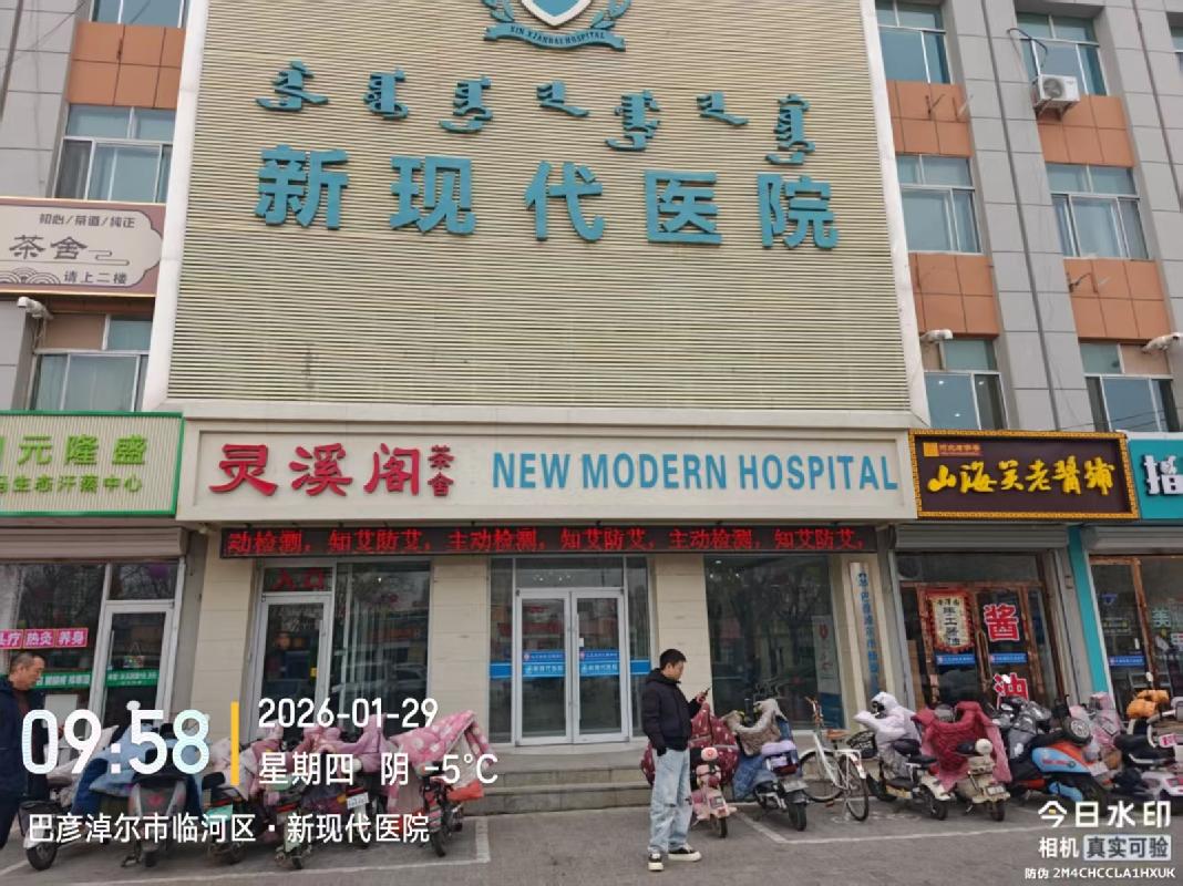 内蒙古巴彦淖尔市临河区288宗资产单独转让项目