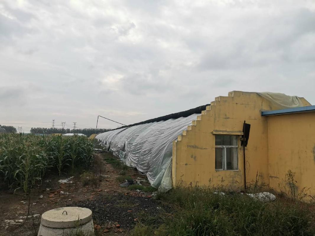 北大荒集团黑龙江红旗农场有限公司蔬菜产业园区温室14栋分别招租交易公告