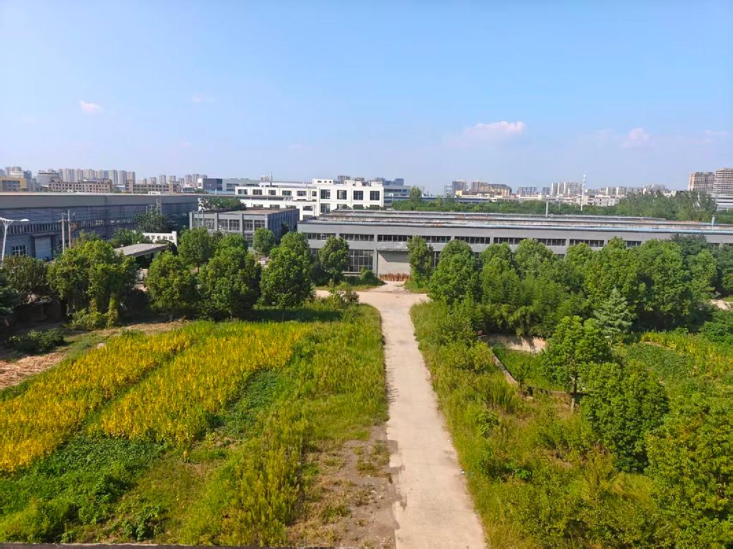 阜阳市阜南县经济开发区友邦锁业西侧一处厂区土地使用权、地上建（构）筑物及附属物转让公告(国资监测编号GR2026AH2002873)