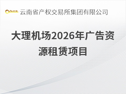 大理机场2026年广告资源租赁项目(国资监测编号GR2026YN1001061)