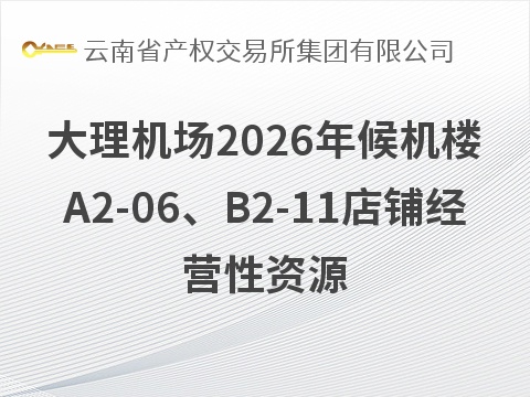 大理机场2026年候机楼A2-06、B2-11店铺经营性资源租赁项目(国资监测编号GR2026YN1001062)