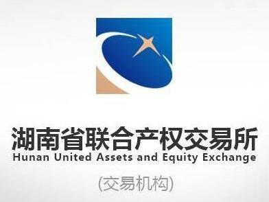 电力设备接地装置相关无形资产3年普通许可使用权(国资监测编号GR2026HN1003717)