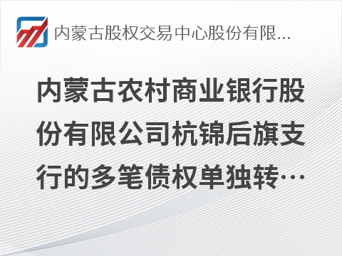 内蒙古农村商业银行股份有限公司杭锦后旗支行的多笔债权单独转让项目询价