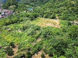 柯城区航埠镇西果源村老鼠山、西果寺等地块垦造耕地公开挂牌招租