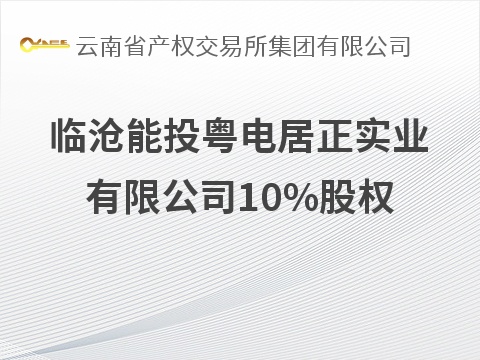 临沧能投粤电居正实业有限公司10%股权(国资监测编号G32026YN1000037)