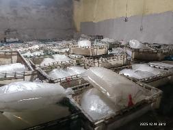 金河森工公司约240吨白桦树冻汁转让