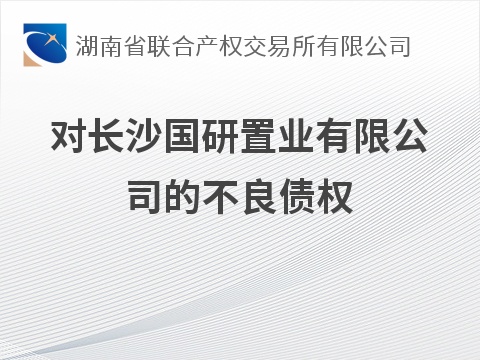对长沙国研置业有限公司的不良债权(国资监测编号GR2026HN1003747)