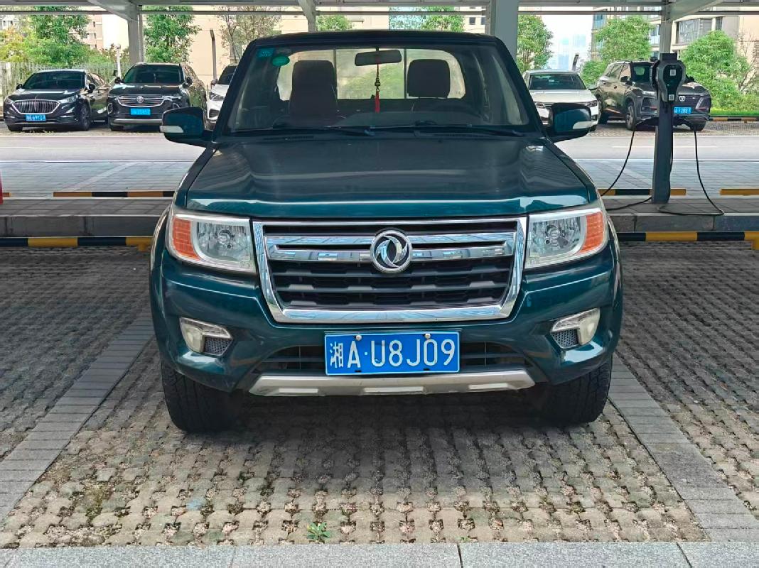 （湘AU8J09）东风牌轻型普通货车(国资监测编号GR2026HN1003751)