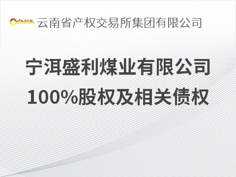 宁洱盛利煤业有限公司100%股权及相关债权信息预披