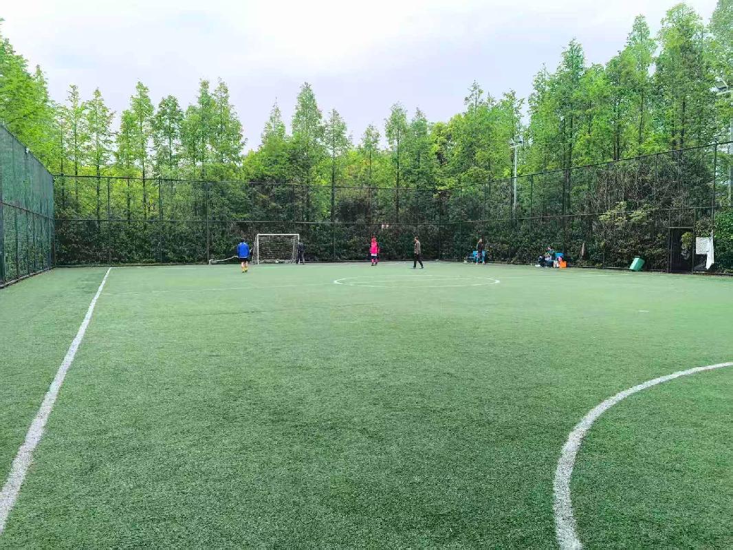 常州市钟楼区三堡街见义勇为主题公园内足球场场地招租公告(国资监测编号GR2026JS2003993)
