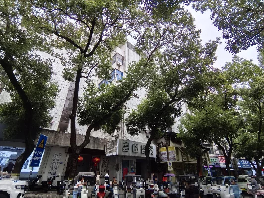 无为市无城镇新马路、十字街、南大街及刘渡镇街道18处房产出租公告