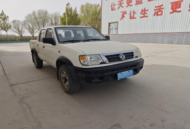 乌什风凌电力科技有限公司转让所属一辆轻型货车（新N0K949）(国资监测编号GR2026XJ1001880)