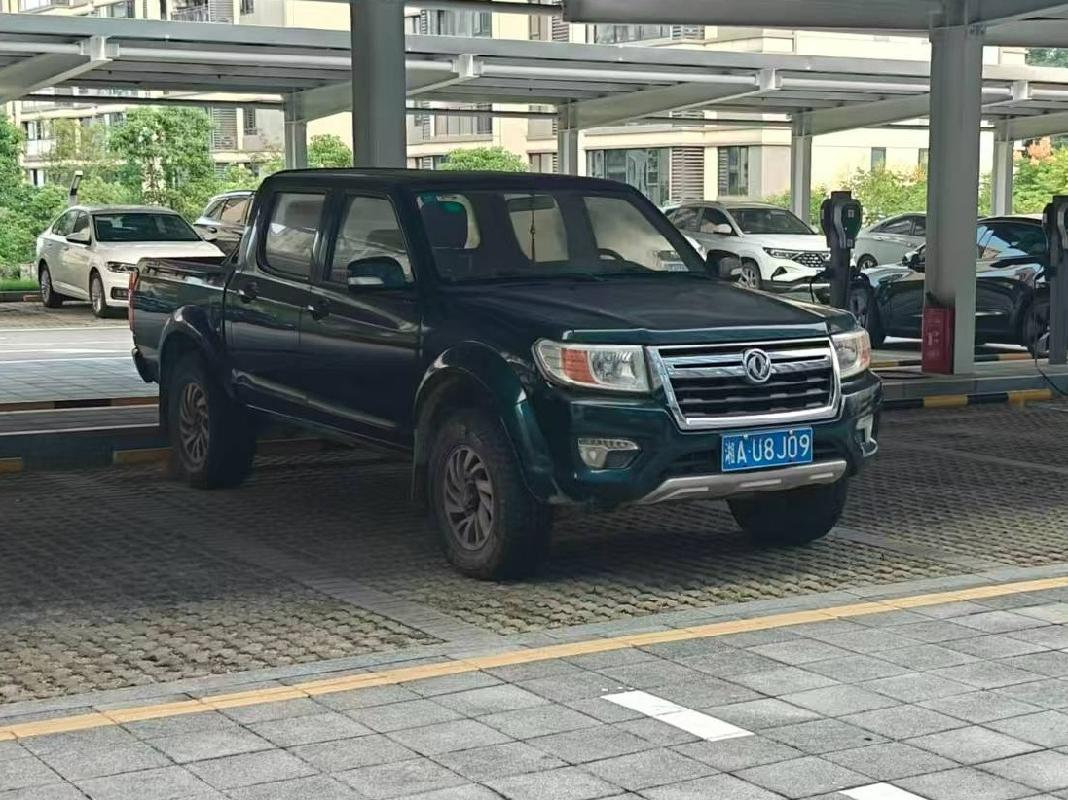（湘AU8J09）东风牌轻型普通货车(国资监测编号GR2026HN1003751)