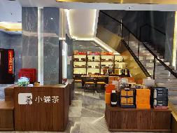 内蒙古发展大厦酒店一楼中厅茶饮区招租（年租金底价53000元，租期2年）(国资监测编号GR2026NM1004538)