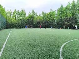 常州市钟楼区三堡街见义勇为主题公园内足球场场地招租公告(国资监测编号GR2026JS2003993)