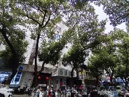 无为市无城镇新马路、十字街、南大街及刘渡镇街道18处房产出租公告