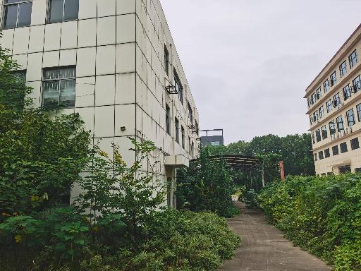 常州市新北区金沙江路4号建（构）筑物拆除及物资处置项目转让公告