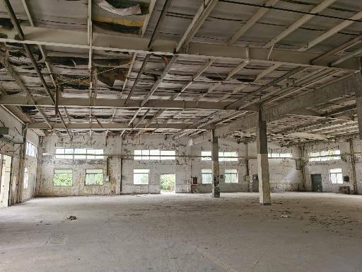 常州市新北区金沙江路4号建（构）筑物拆除及物资处置项目转让公告