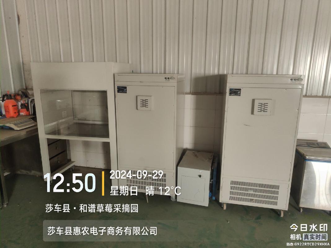 莎车县惠农电子商务有限公司转让一批机器设备、电子设备、存货等资产(国资监测编号GR2026XJ1001928)