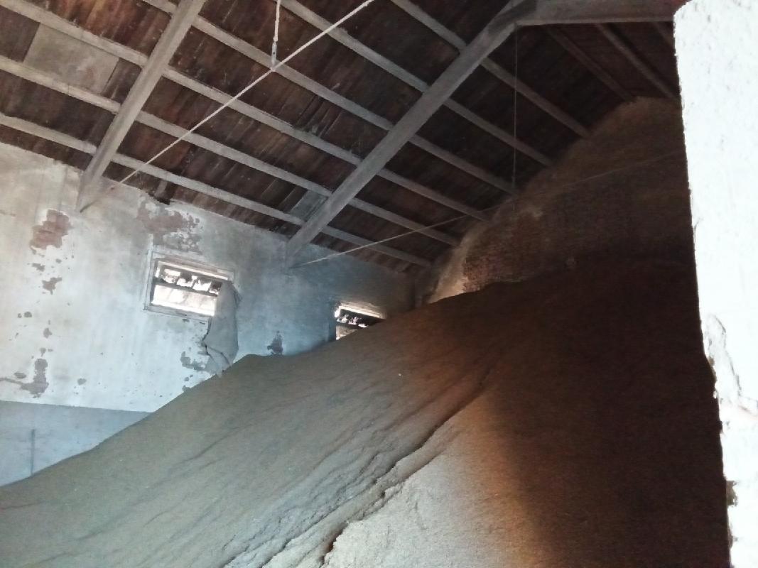 南陵县工山镇童村粮站1-3号仓房屋出租公告(国资监测编号GR2026AH2003019)