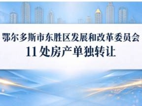 鄂尔多斯市东胜区发展和改革委员会11处房产单独转让