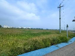 芜湖市弋江区高安街道草山村龙桥地块约675.48亩土地经营权出租公告