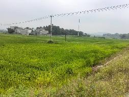 芜湖市弋江区高安街道白象村陶西、尚村地块约979.50亩土地经营权出租公告