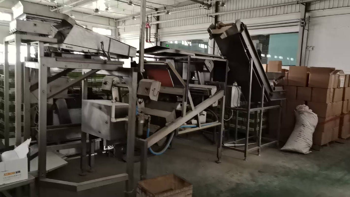 叶城西域果叔电商供应链有限公司转让所属一批机器设备、电动机资产(国资监测编号GR2026XJ1001931)