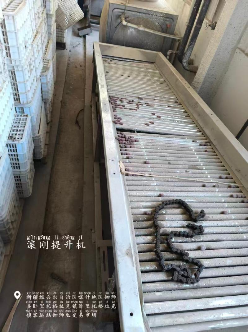 伽师西域果叔电商供应链有限公司转让一批机器设备(国资监测编号GR2026XJ1001929)
