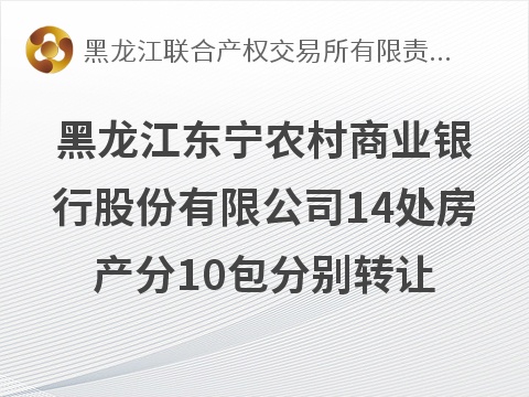 黑龙江东宁农村商业银行股份有限公司14处房地产分10包分别转让交易公告