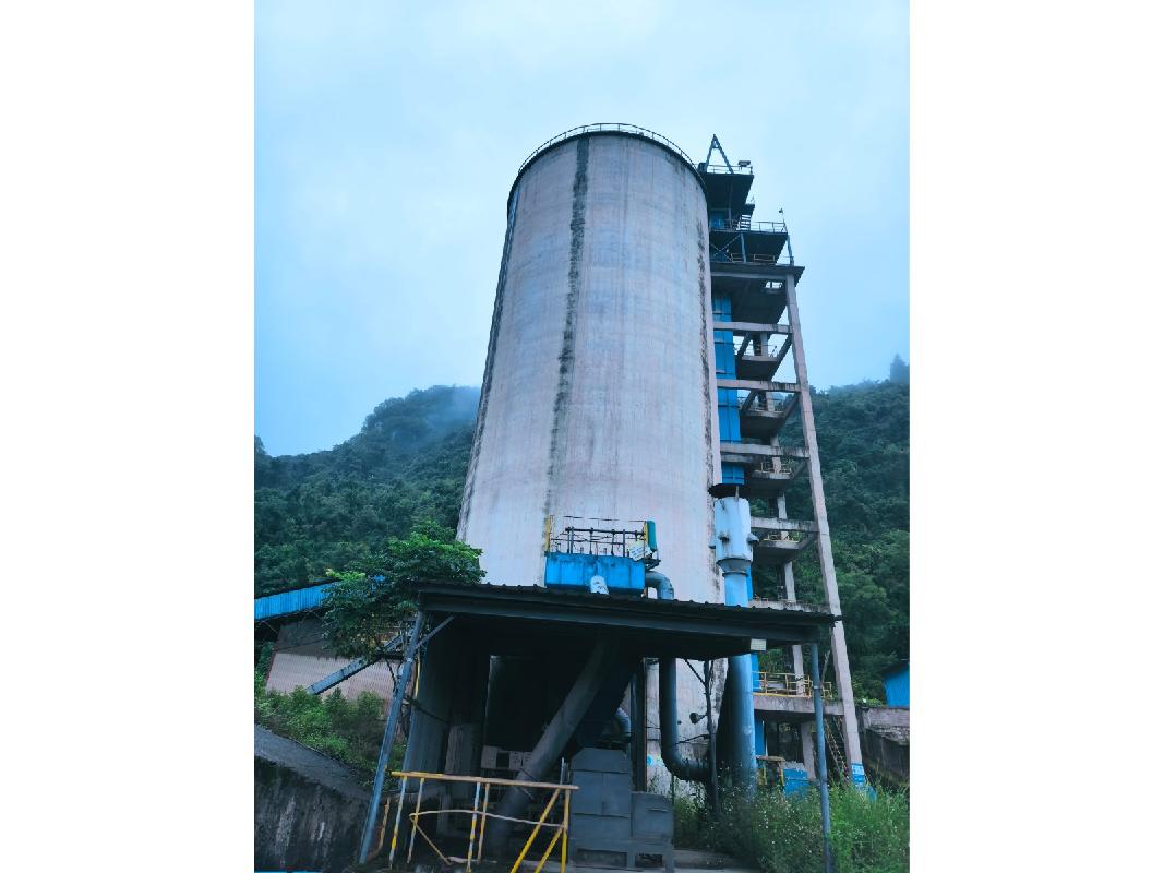 湖南张家界南方水泥有限公司1500t/d熟料水泥生产线相关资产（一批）(国资监测编号GR2026HN1003784)