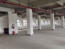 江苏徐州泉山区顺堤北路1号永嘉科技园C01楼2层东侧部分区域招租公告(国资监测编号GR2026JS4003888)