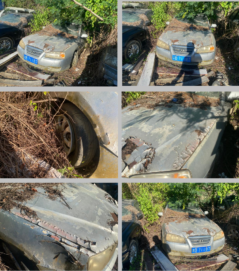 73 辆无主车辆（电动车、摩托车，含11 辆机动车）分为两个标的分别转让