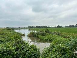 芜湖市湾沚区湾沚镇罗保社区天方塘约17.72亩水面5年期经营权出租公告