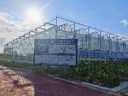 四省边际数字农业科创园2号馆（玻璃温室大棚）公开挂牌招租